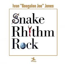 Snake Rhythm Rock cover