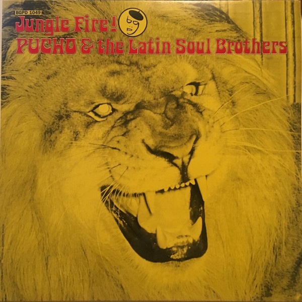 Jungle Fire! cover
