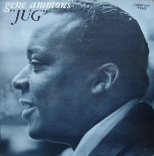 Jug cover